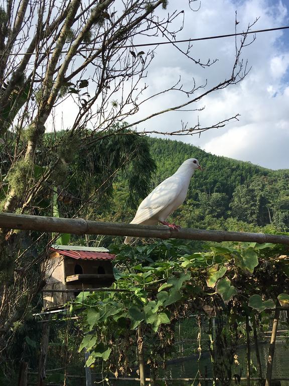 Cau May Homestay Sapa Exterior photo